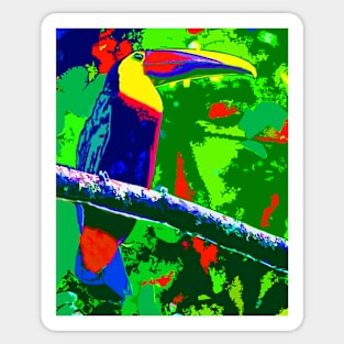 Toucan Sticker